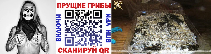 Галлюциногенные грибы мицелий  kraken как зайти  Канск 